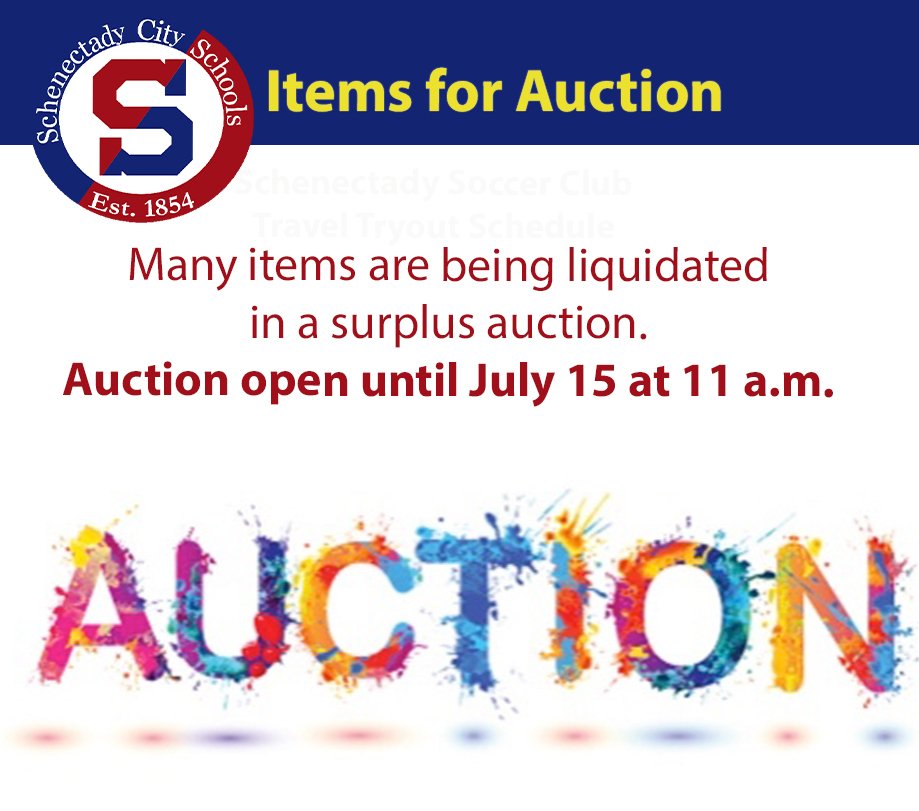 Many items being liquidated in surplus auction