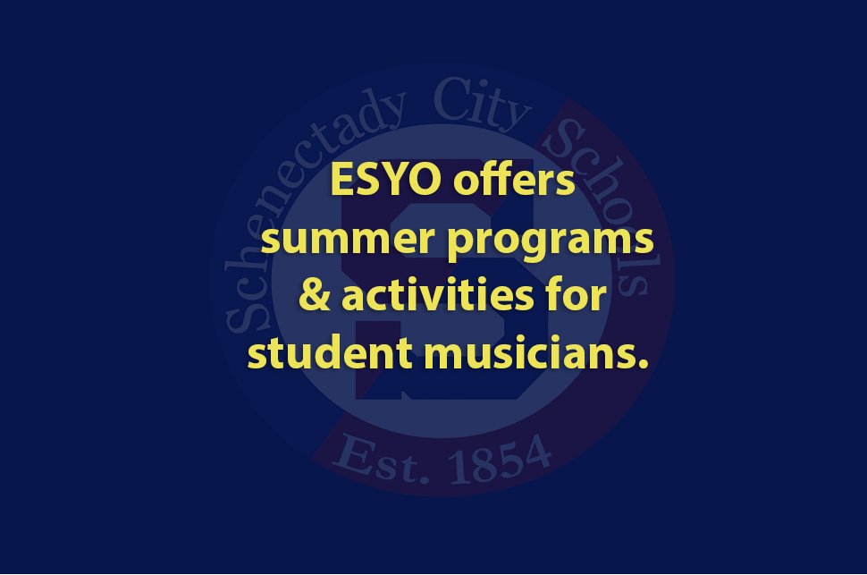 Empire State Youth Orchestra offers summer programs & activities for student musicians
