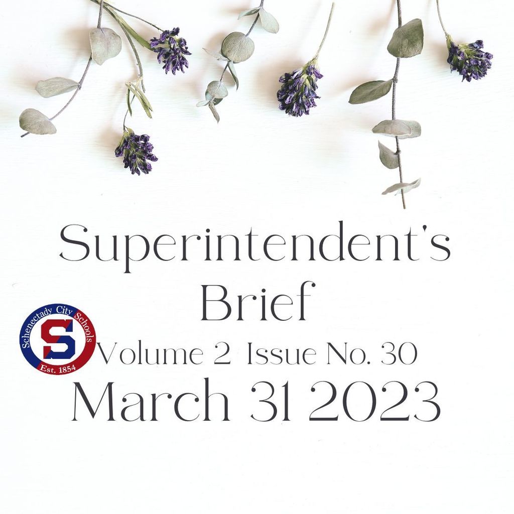 Superintendent's Brief March 31 2023